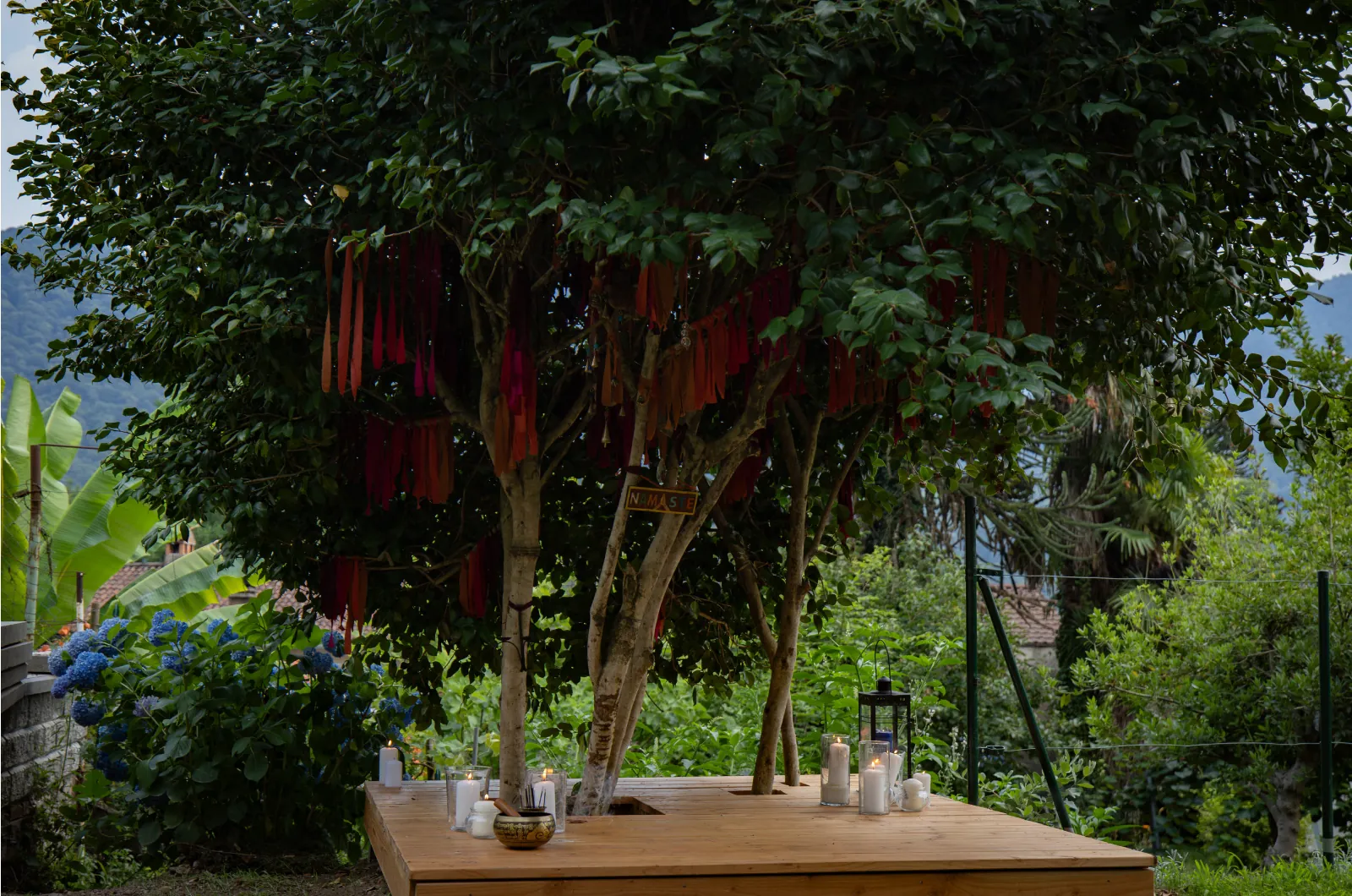 Albero dei Desideri di Casa Ortensia a Monteggio, nel Malcantone, Ticino — installazione artistica tra le camelie